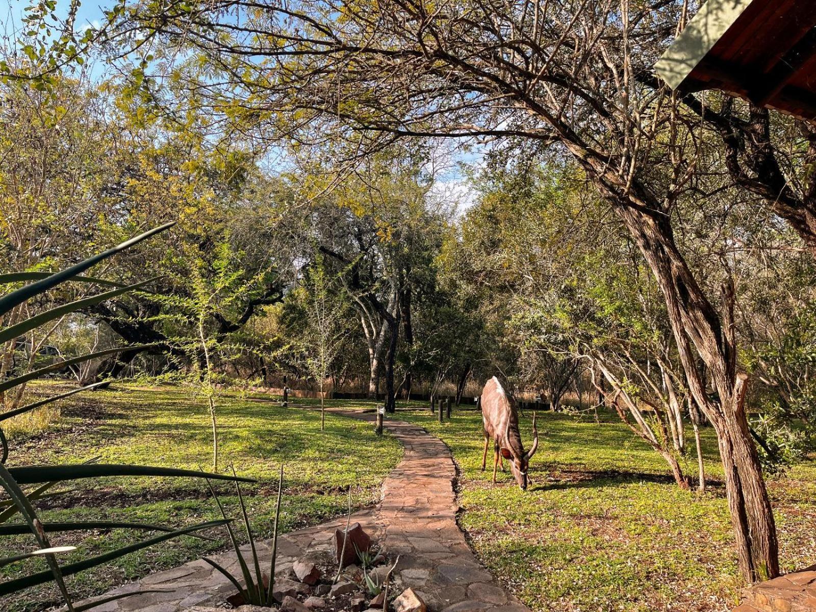 Mbuluzi Game Reserve Simunye ห้อง รูปภาพ