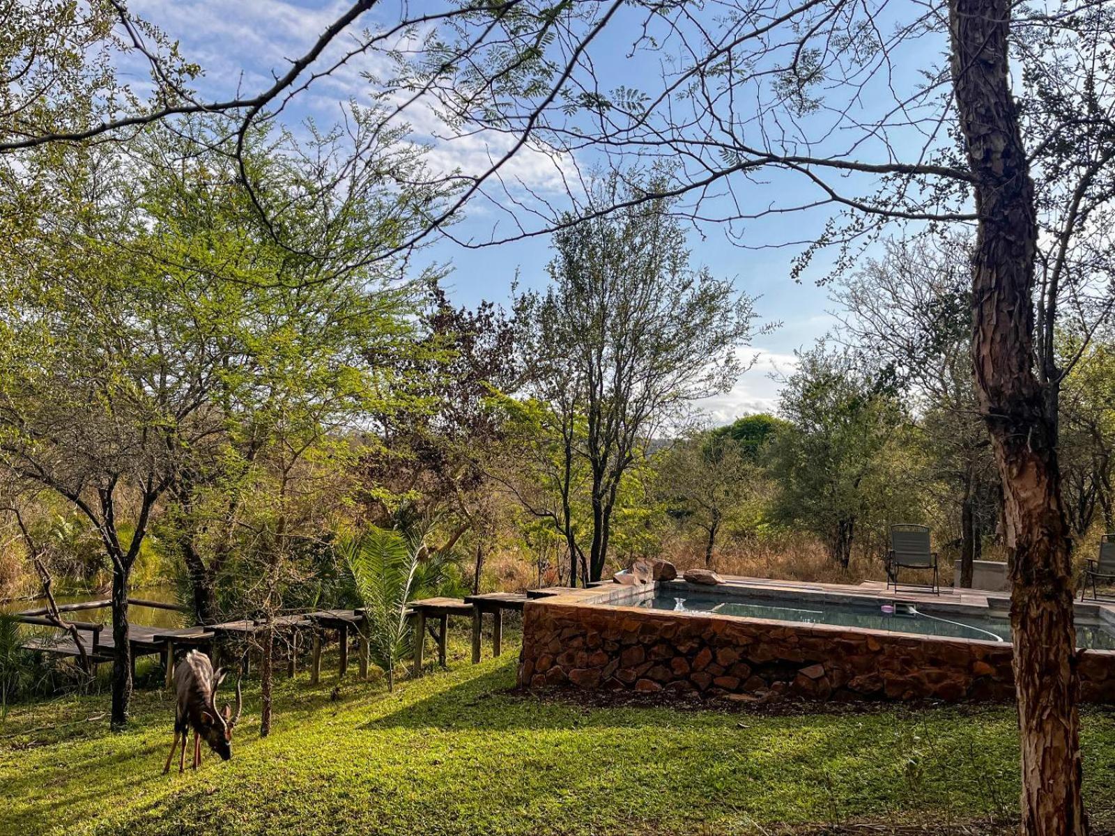Mbuluzi Game Reserve Simunye ห้อง รูปภาพ