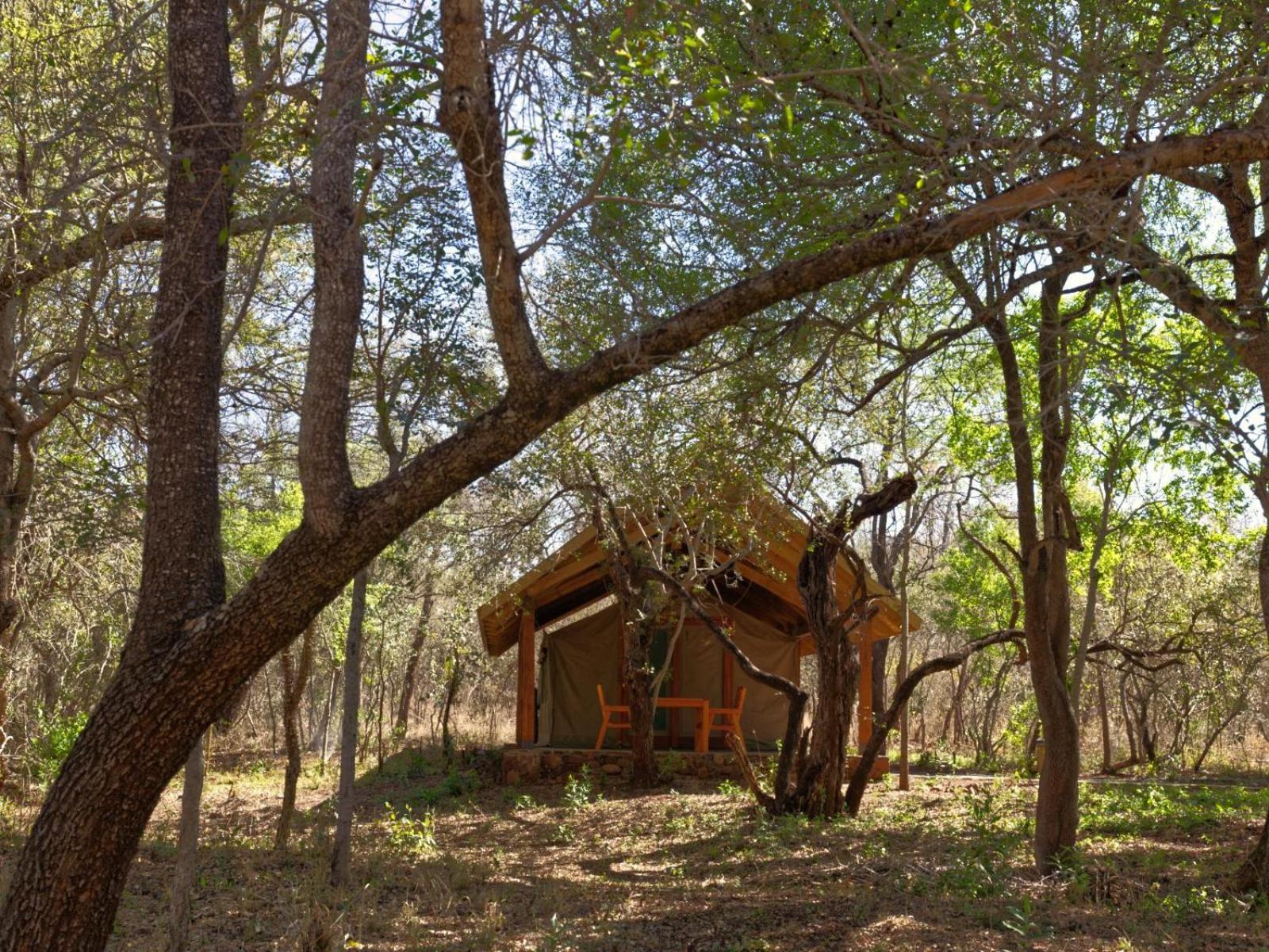 Mbuluzi Game Reserve Simunye ห้อง รูปภาพ